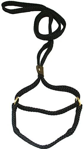 Lone Wolf Slip Leads Martingale Leashes Pet Agree